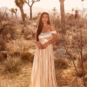 NWT Lulu's Champagne Maxi Off Shoulder Dress